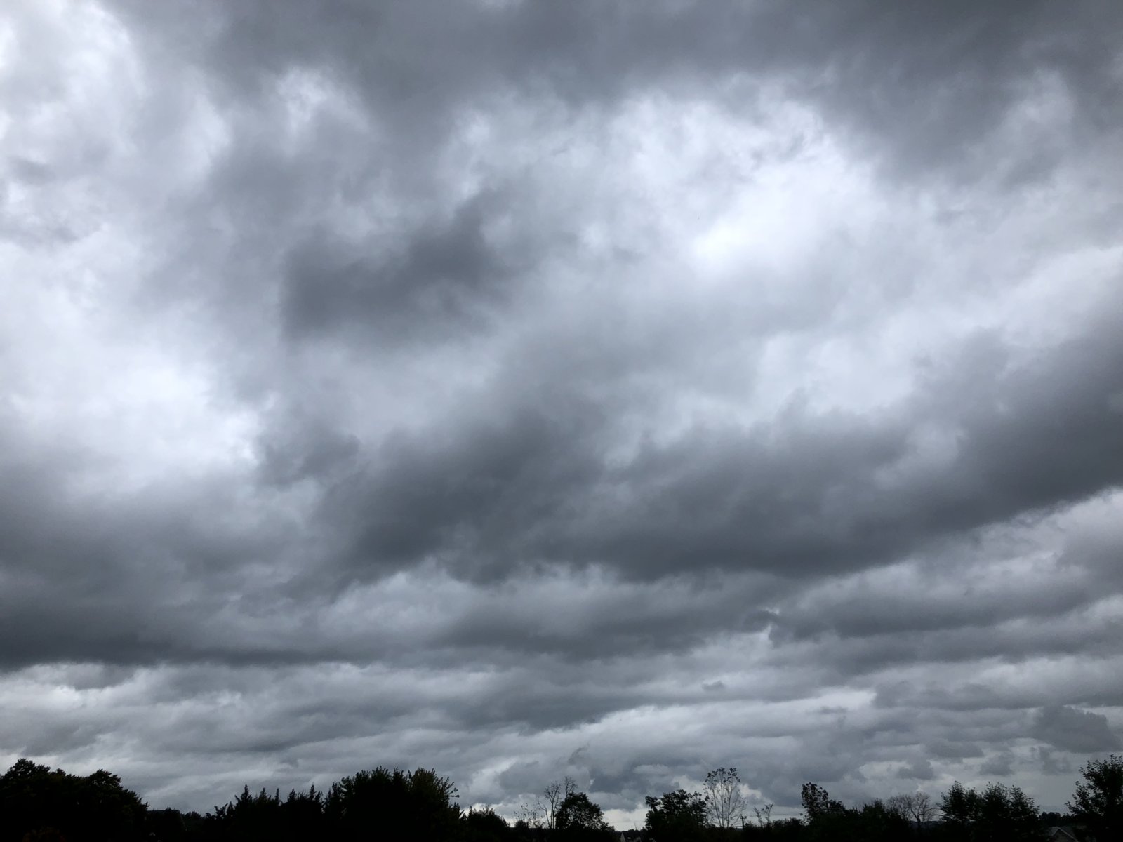 5562A2AE-2170-4BF5-951D-F12CFA6D2D87.jpeg
