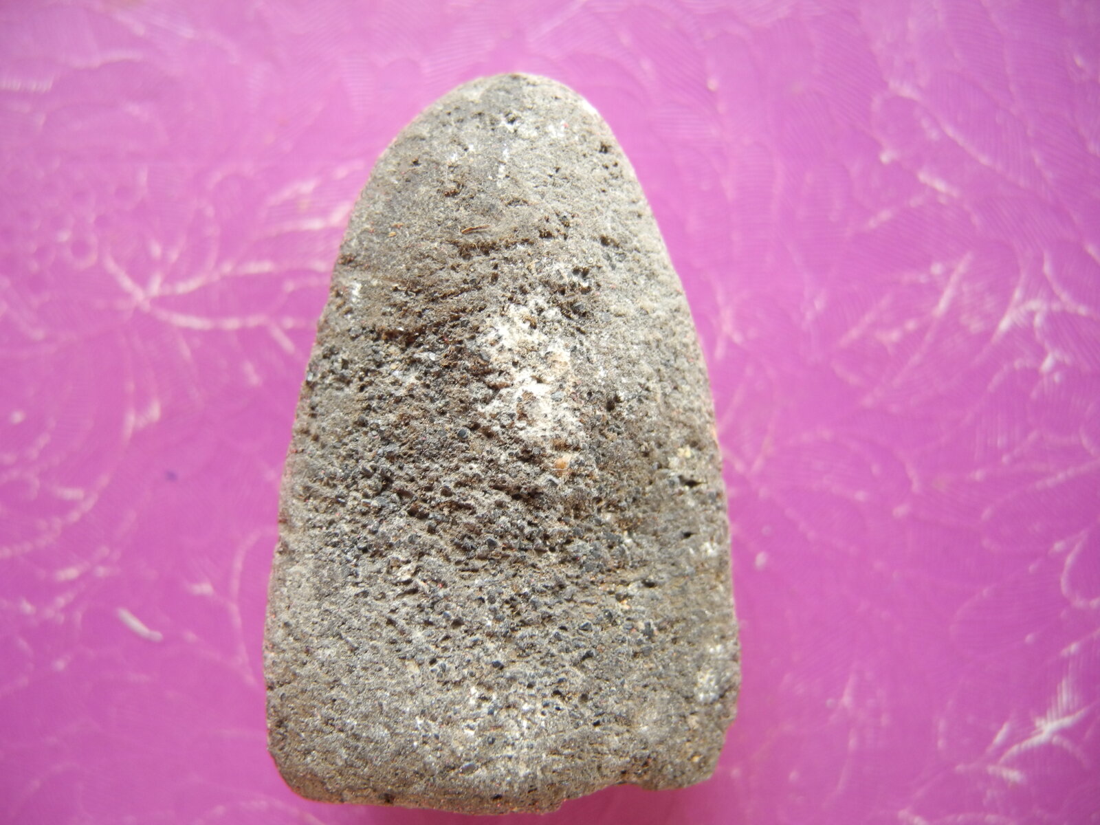 dscn0089-jpg.jpg
