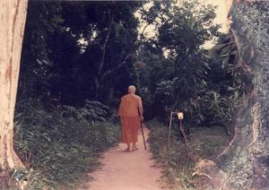 LpBuddhadasa.jpg